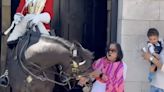 Watch: King’s Guard horse bites tourist