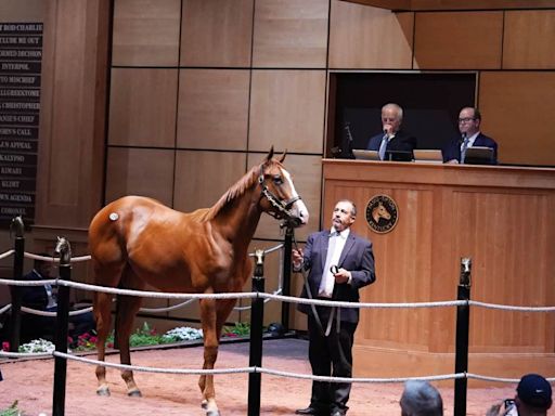 'A Fantastic Start To The Yearling Sales Season': Fasig-Tipton July Sale Ties Record Median