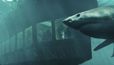 We’re gonna’ need a bigger boat as popular shark horror movie franchise 47 Meters Down is getting another installment