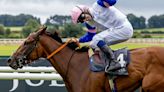 You Got To Me continues cross-channel Classic success at Curragh with Oaks victory