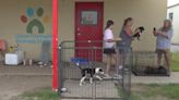 West Memphis Animal Shelter seeks long-term solutions for overcrowded facility