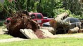 Huntsville residents assess storm damage following Wednesday night tornado