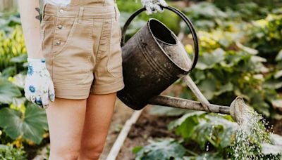 Quelle est la meilleure façon de gérer l'irrigation du jardin pour économiser l'eau ?