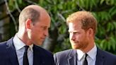 Prince William and Harry won't inherit Princess Diana's home as it goes to surprising heir