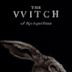 The Witch (2015 film)