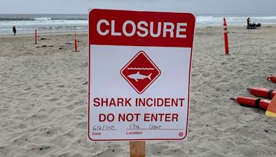 46-year-old man injured in apparent shark attack in California