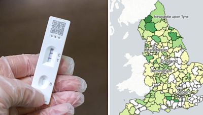 Coronavirus cases in your area mapped as new Covid XEC variant spreads