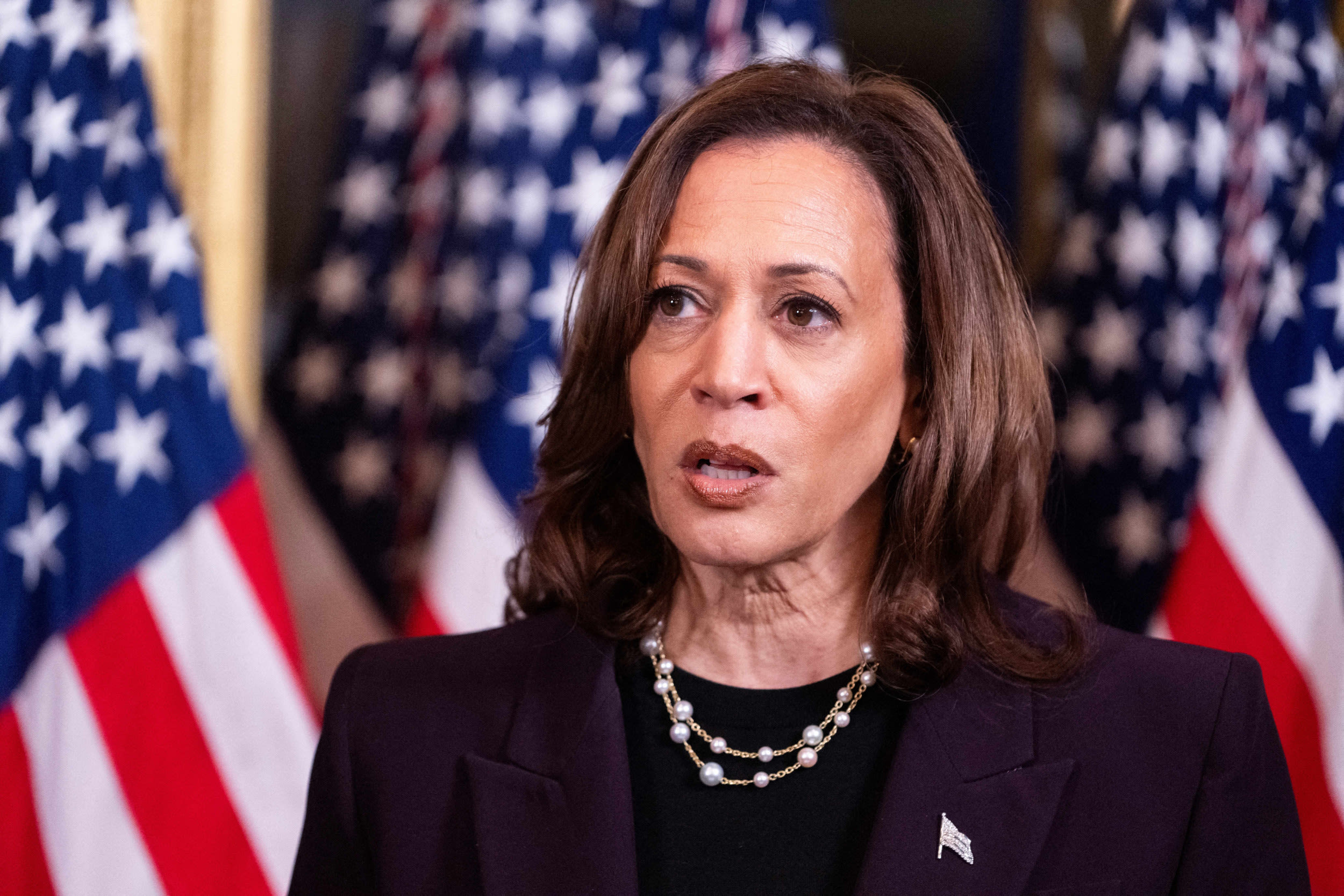 Kamala Harris running mate update as contenders audition for role