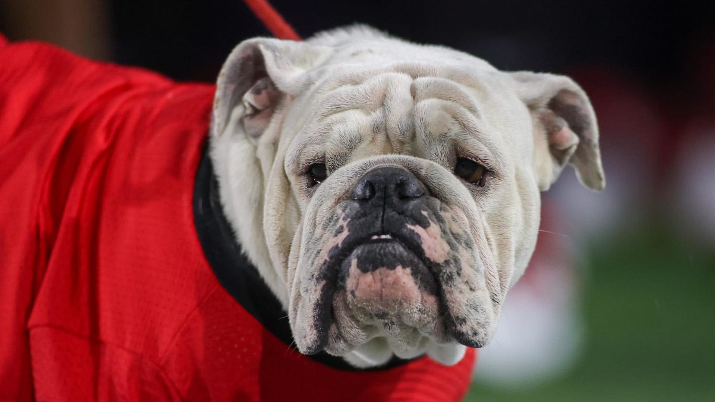 Georgia Baseball Gains Transfer Commitment From Younger Brother of Bulldogs Legend