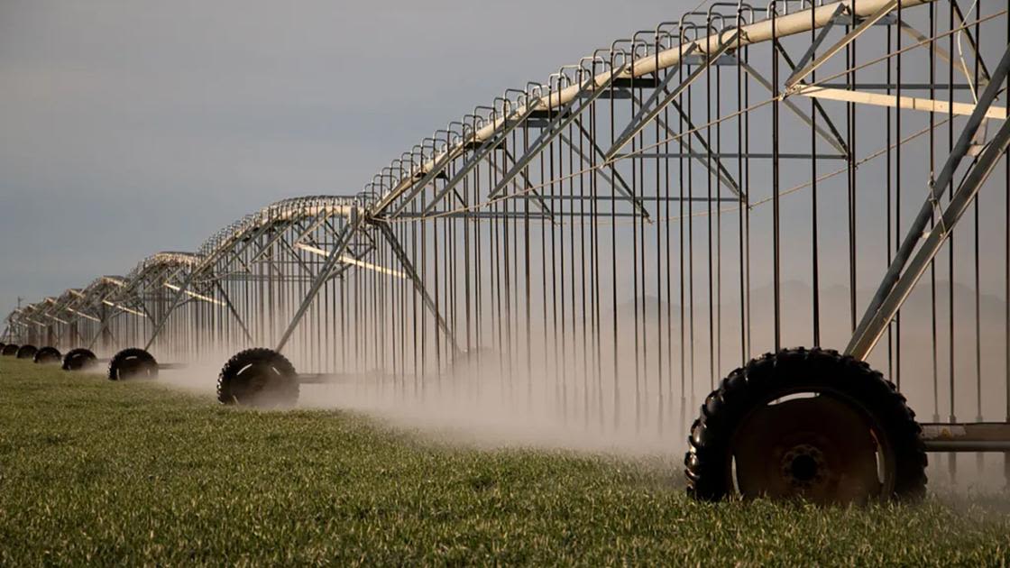 Arizona's groundwater regulation weaknesses exploited by industrial-scale agriculture