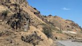 Can you spot the nine bighorn sheep along the road? One is nursing