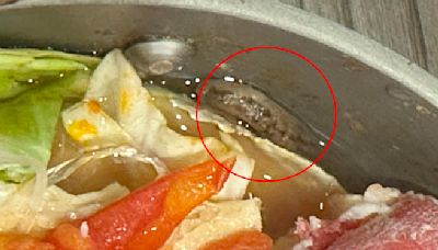 火鍋吃一半驚見「蛞蝓蠕動」 新北衛生局要查了 - 生活