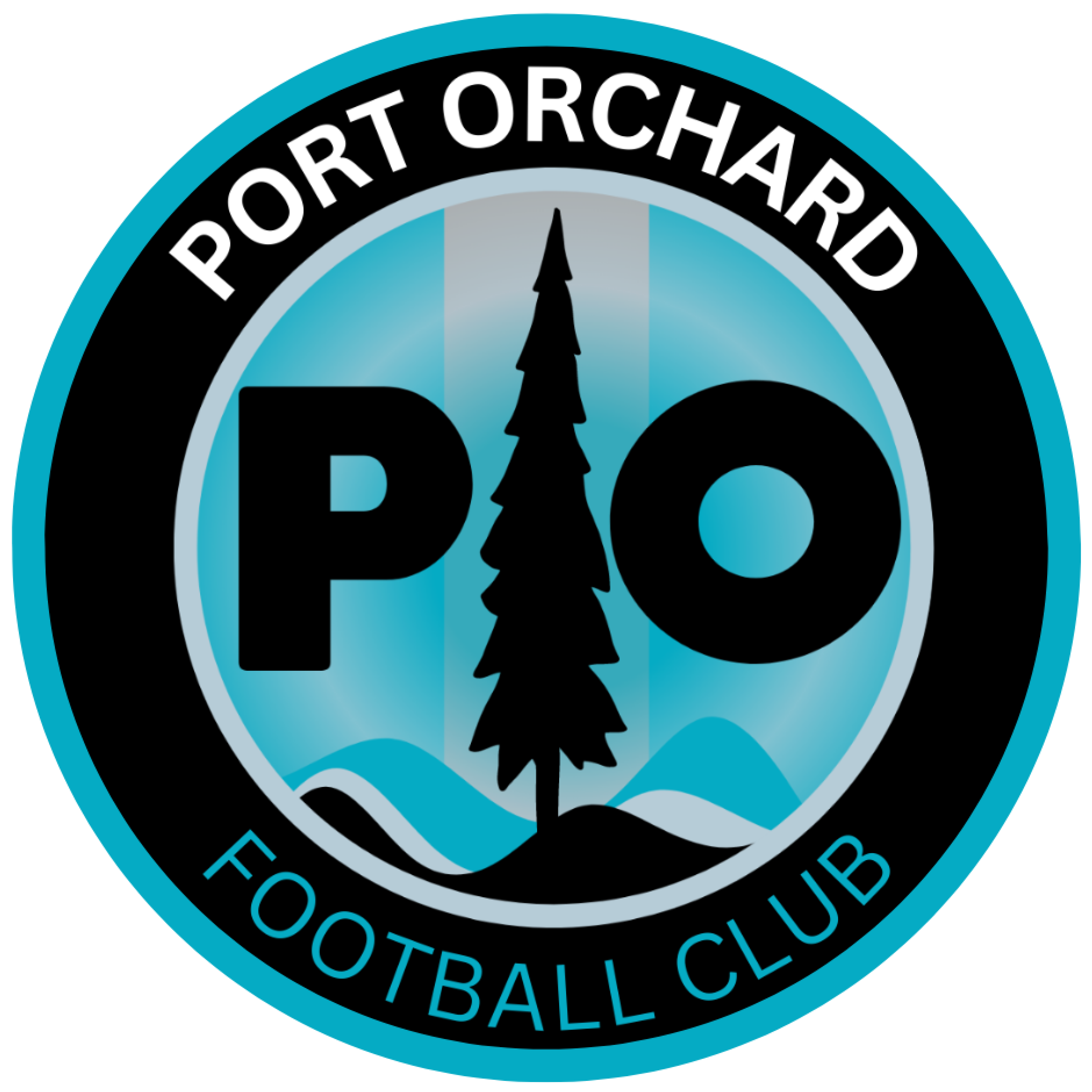 Port Orchard FC reaches Cascadia Premier League Division 1 title game