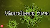 Deadly Chandipura Virus reaches Rajasthan after cases rise to 51 in Gujarat; Here's what you need to know