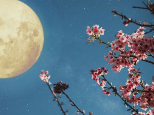 Luna llena de mayo 2024: a qué hora es, dónde y cuándo ver la Luna Llena de Flores