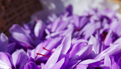 Saffron: the wonder spice nutritionists are raving about