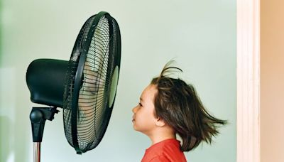 Pic de chaleur : Comment choisir un ventilateur efficace (et pas trop cher) ?