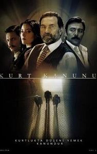 Kurt Kanunu