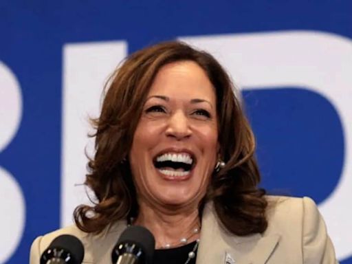 From ‘brat’ to ‘coconut tree’: How Kamala Harris is in the middle of a meme storm