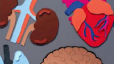 Más allá de la respiración: cómo el COVID-19 afecta al corazón, al cerebro y otros órganos