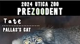 Utica Zoo reveals its new preZoodent. See which animal will rule the zoo this year.