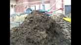 Like all organisms, a compost pile thrives when two essential ingredients are added