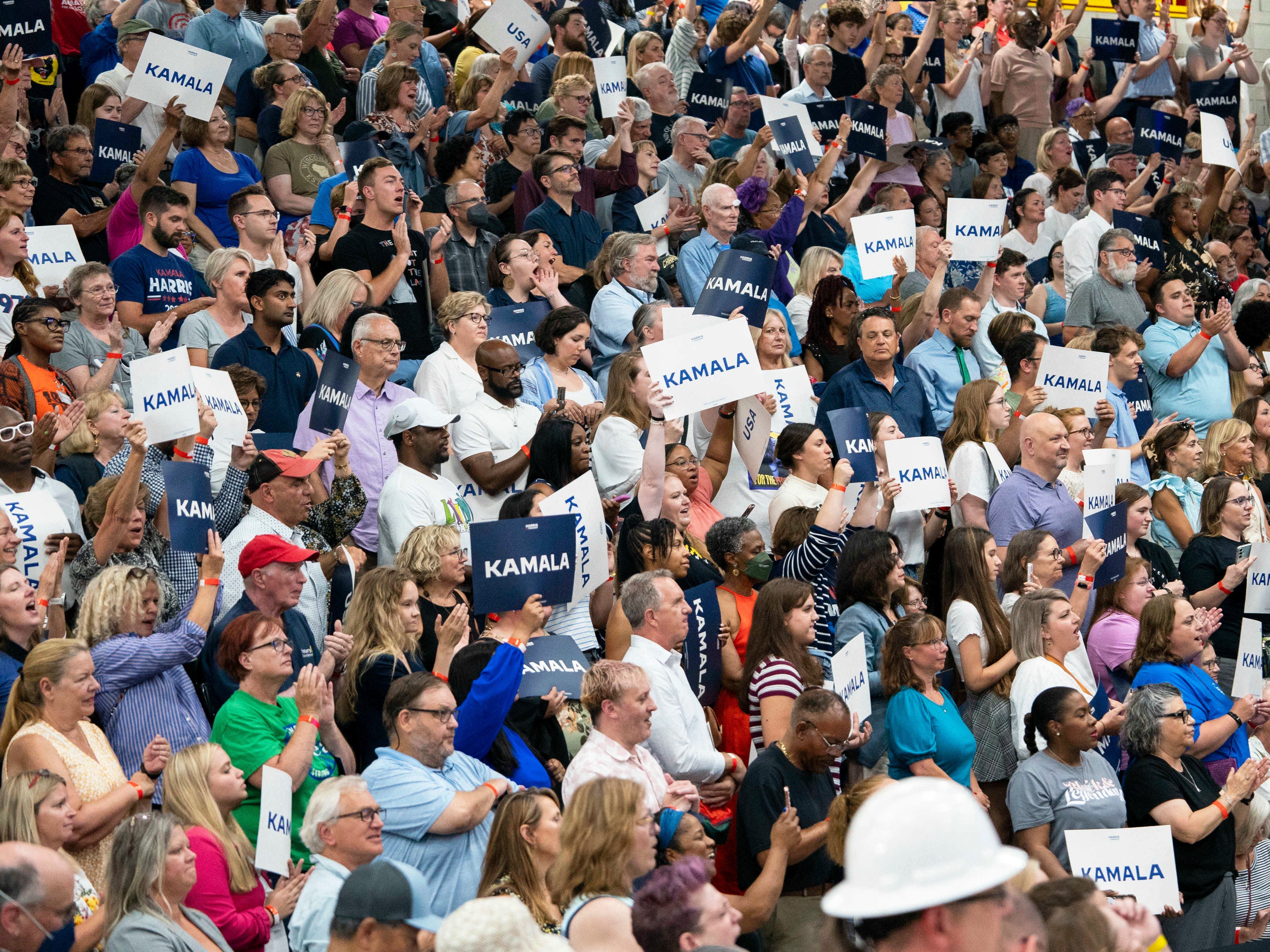 Kamala Harris' campaign strategy includes calling Trump's camp 'weird.' It could work, campaign experts say.