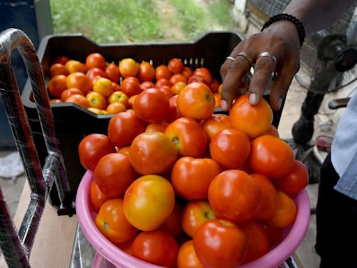 Monsoon effect: Tomato prices soar to ₹90/kg in Delhi-NCR as supplies hit due to rains | Mint