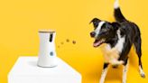 The Furbo dog cam is at its lowest price ever ($134) today — and it even tosses your pup a treat