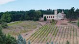 Michigan castle with vineyard overlooking Torch Lake on market for under $1M