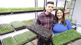 New Franklin micro farm aims to cultivate sustainability, profitability