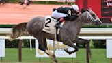 Seize the Grey trainer, jockey, owner and more to know about 2024 Kentucky Derby hopeful