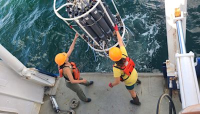 A 'dead zone' is growing in the Gulf of Mexico. It's now the size of New Jersey