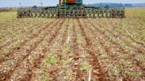 Plano Safra 24/25: tamanho do corte de juros é a dúvida do setor agropecuário