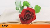 Imágenes para felicitar Sant Jordi y el Día del Libro este 23 de abril a tus amigos