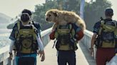 El perro callejero que inspiró una película de Hollywood: la historia real de “Arthur: una amistad sin límites”