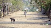 En la Sierra de Guerrero, 246 personas abandonaron sus hogares por los constantes hechos de violencia