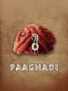 Paaghadi (The Turban)