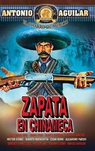 Zapata en Chinameca