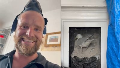 Chimney sweep captures moment ‘rambunctious’ seagull falls from an old flue