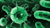 La OMS actualiza su lista con las 15 bacterias más peligrosas para la salud humana por su resistencia a los antibióticos