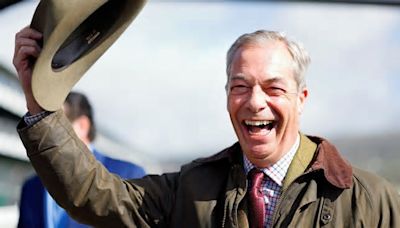 A Former Tory Chairman Has called For Nigel Farage To Get A Peerage