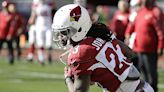 Chris Johnson among former players curious if scouting is a way back to the NFL | Texarkana Gazette