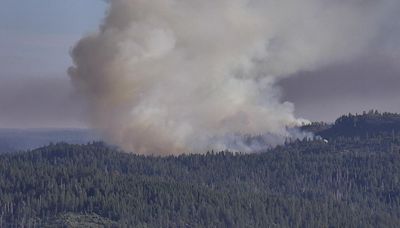 Wildfire burns with no containment in California's Sierra foothills