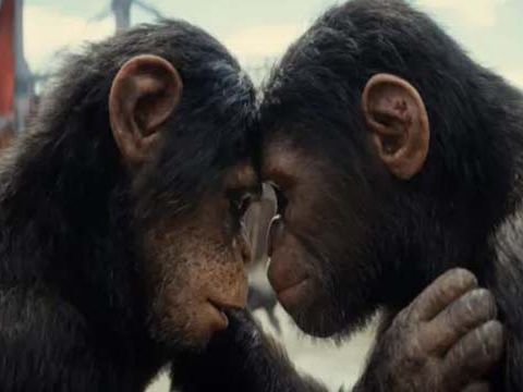 Box office: ‘Kingdom of the Planet of the Apes’ reigns with $56.5 million over Mother’s Day weekend