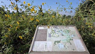 Willow Springs Park is finally being dedicated as park space in Long Beach