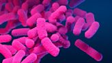 CDC warns about the rise in almost untreatable Shigella bacterial infections