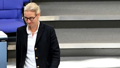 AfD-Chefin Weidel fordert Aufarbeitung des EU-Wahlkampfes ihrer Partei