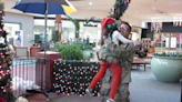 Little girl gets a special delivery from Santa: Her army dad