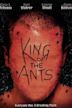 King of the Ants